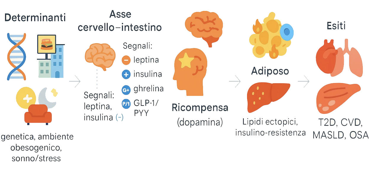 obesita3